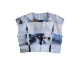 Florida croptop